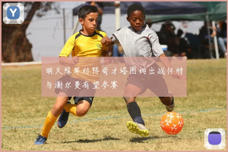 明天绿军对阵奇才塔图姆出战怀特与谢尔曼有望参赛