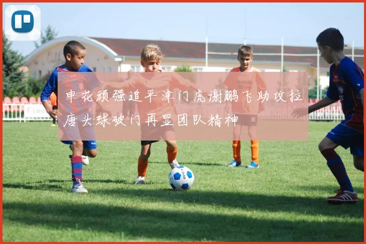 申花顽强追平津门虎谢鹏飞助攻拉唐头球破门再显团队精神