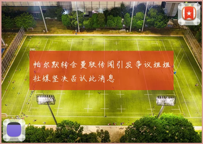 帕尔默转会曼联传闻引发争议姐姐社媒坚决否认此消息
